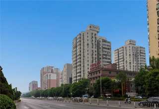 广州硅胶平衡盘公司